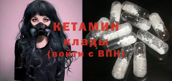 бошки Няндома