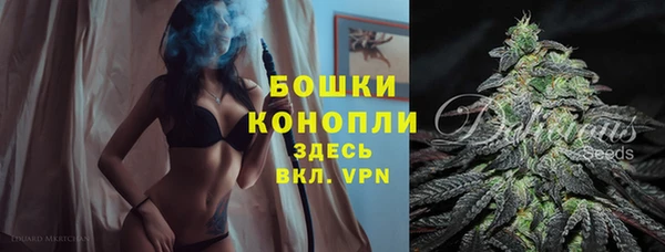индика Нягань