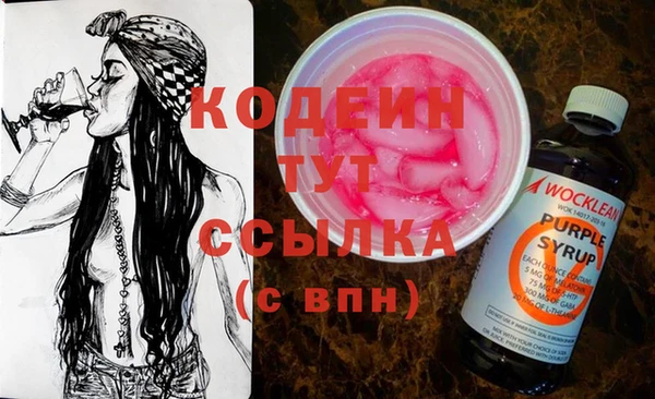 индика Нягань