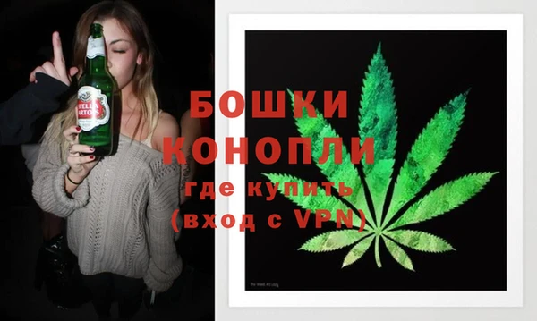 индика Нягань