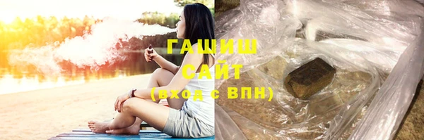 индика Нягань