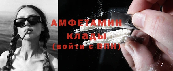 индика Нягань