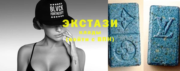 индика Нягань
