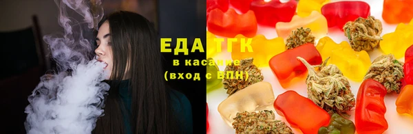 индика Нягань