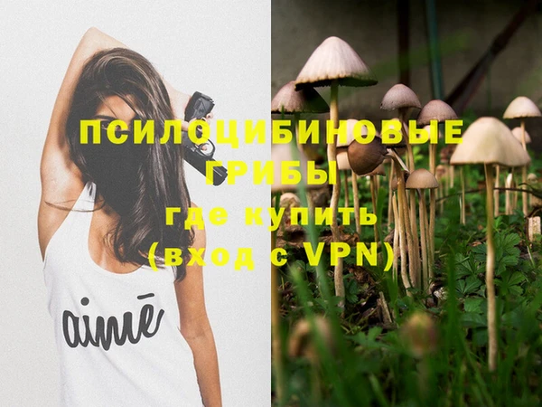 индика Нягань