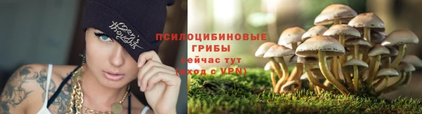 индика Нягань