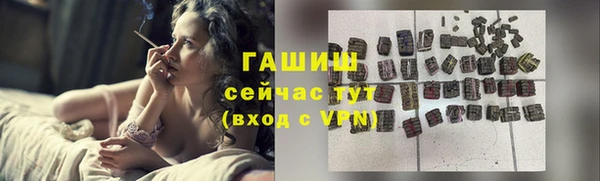 индика Нягань