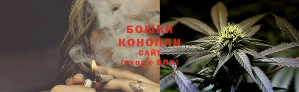 бошки Няндома