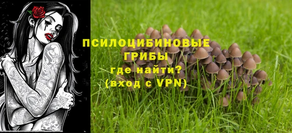 индика Нягань