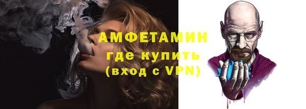 индика Нягань