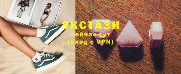 индика Нягань