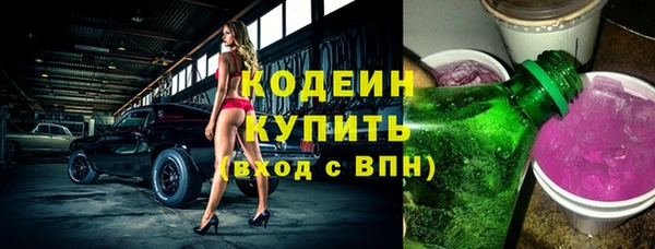 индика Нягань
