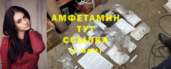 бошки Няндома