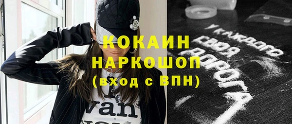 бошки Няндома