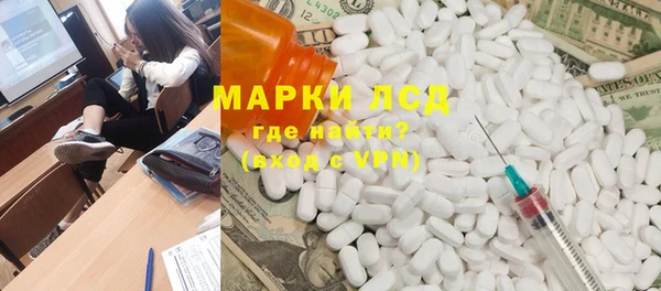 индика Нягань
