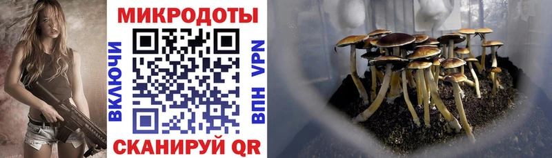 Галлюциногенные грибы Psilocybe  Уяр 